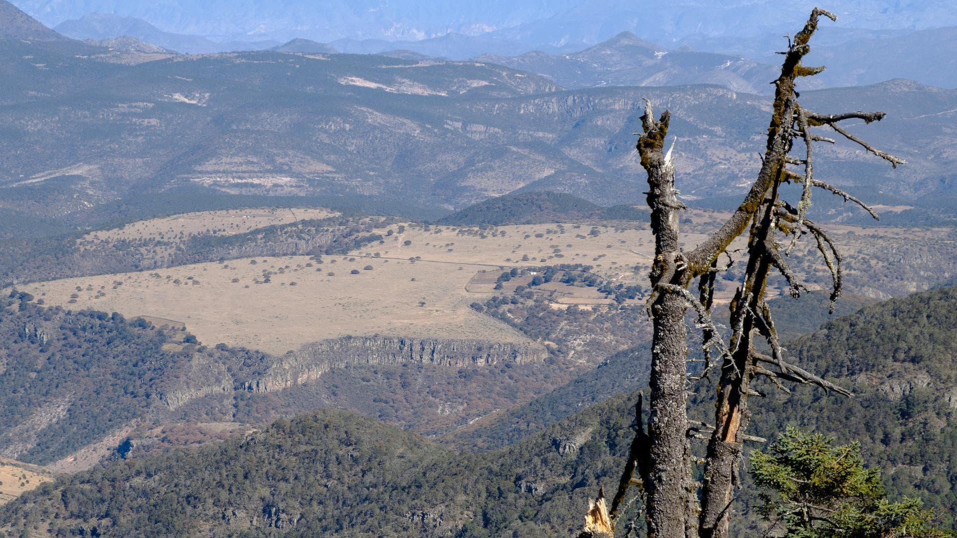 Foto naturaleza Querétaro