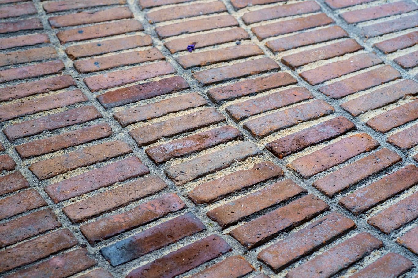 Texturas Criol 8 Texturas Criol 8